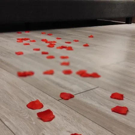 Apartman Officyna Poznań