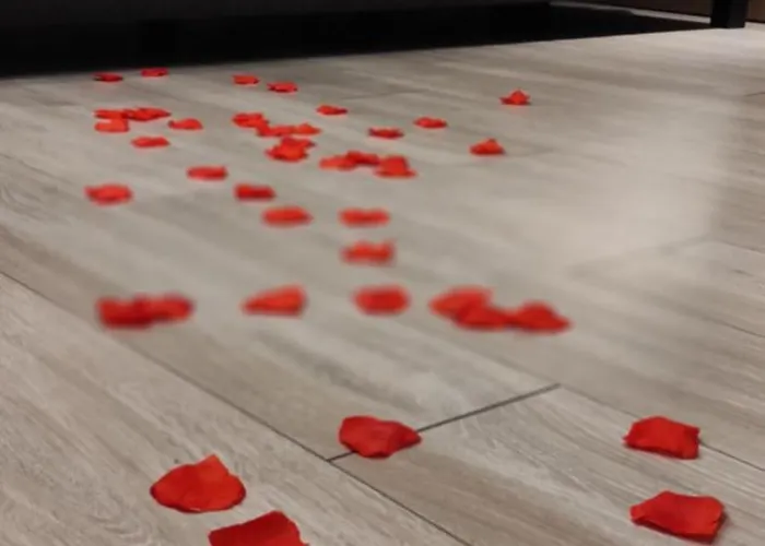 Apartman Officyna Poznań